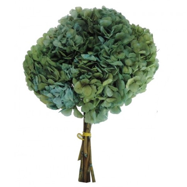 Imagen con hortensia preservada