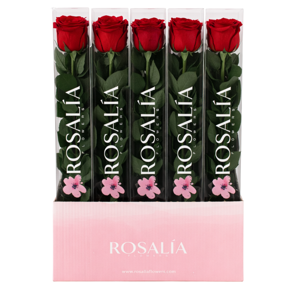 Imagen de cajas con rosas preservadas