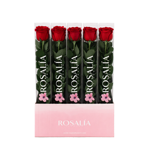 Imagen de rosas preservadas